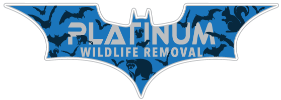 Buchanan Wildlife Removal